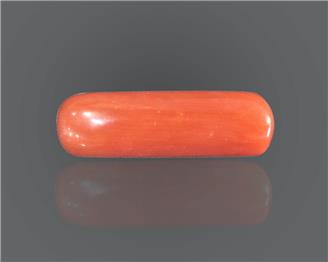 Natural Coral  7.25RTS-27548
